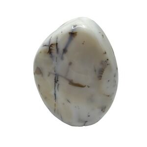 Dendrite Opal Palm Stone Reiki Energy Crystal Agate Home Decor 997g White Black